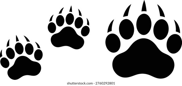 Comparison of paw prints from different bear species in black and white illustration