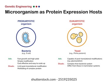 Comparison of prokaryotic and eukaryotic organisms as protein expression hosts, highlighting advantages and disadvantages of using bacteria and yeast.