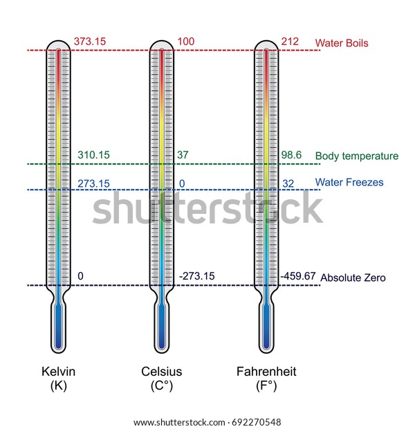 Comparison Three Temperature Scales Vector Illustration Stock Vector ...