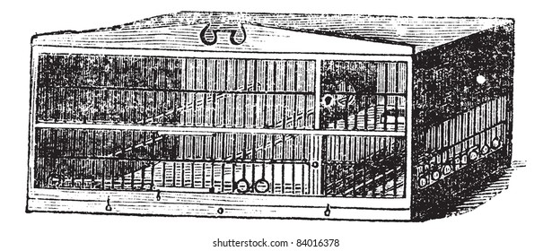 The compartment of cage, vintage engraving. Old engraved illustration of compartment of cage isolated on a white background.  Trousset encyclopedia (1886 - 1891).