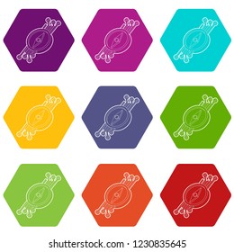 Compass icons 9 set coloful isolated on white for web