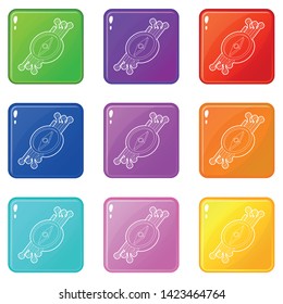 Compass icons set 9 color collection isolated on white for any design
