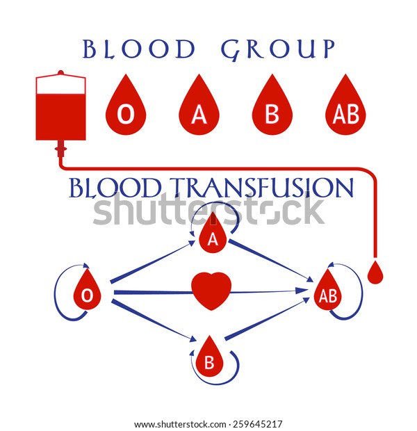 Compatibility Blood Groups Through Blood Transfusions Stock Vector Royalty Free 259645217