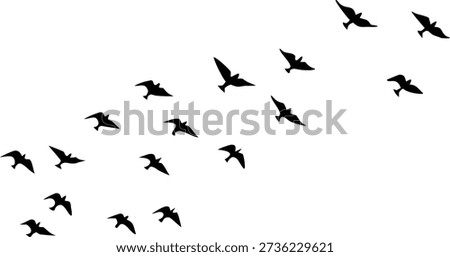 A compelling visual of dark birds ascending in formation on a brilliant white background, evoking feelings of aspiration and journey.