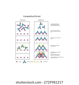 Competitive EIA test diagram showing antigen–antibody competition, enzyme-linked detection, positive and negative results, and inverse color–antigen relationship