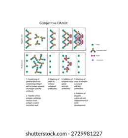 Competitive EIA test diagram showing antigen–antibody competition, enzyme-linked detection, positive and negative results, and inverse color–antigen relationship