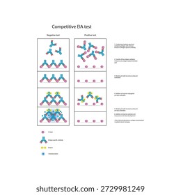 Diagrama competitivo de teste EIA mostrando competição antígeno-anticorpo, detecção ligada a enzima, resultados positivos e negativos e relação inversa cor-antígeno