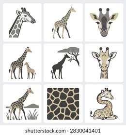 A compilation of diverse giraffe illustrations, including portraits, full body views, and a close-up of their distinctive patterned skin.