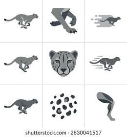 A compilation stylized cheetah