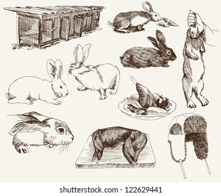 Compilation of vector illustrations of rabbits