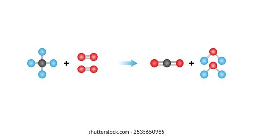 Complete Combustion Scientific Design. Vector Illustration.
