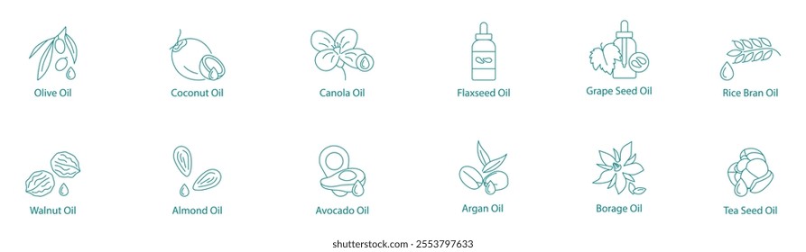 Complete Cooking and Health Oils Vector Icon Set: Olive, Coconut, Canola, Flaxseed, Grape Seed, Rice Bran, Walnut, Almond, Avocado, Argan, Borage, Tea Seed