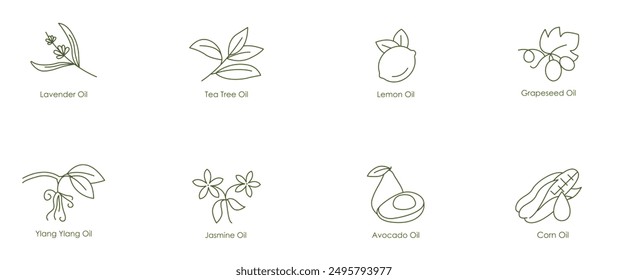 Complete Essential Oils Vector Icons: Lavender, Tea Tree, Lemon, Grape Seed, Clary Sage, Jasmine, Avocado, Corn