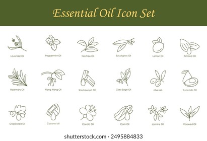 Complete Essential Oils Vector Icons: Lavender, Peppermint, Tea Tree, Eucalyptus, Lemon, Almond, Grape Seed, Canola, Jasmine, Rosemary, Ylang Ylang, Sandalwood, Clary Sage, Olive, Avocado, Coconut, Co