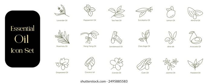 Vollständige Vektorsymbole für ätherische Öle: Lavendel, Pfefferminze, Teebaum, Eukalyptus, Zitrone, Mandel, Traubensamen, Canola, Jasmin, Rosmarin, Ylang Ylang, Sandelholz, Clary Sage, Olive, Avocado, Kokosnuss