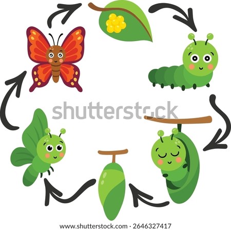 The Complete Life Cycle of a Butterfly
