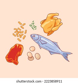 complete nutrition of food illustration, beef, chicken, beans, soybeans, eggs, and fish with isolated background