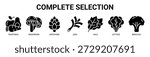 Complete Selection web banner icon vector illustration concept with icon of vegetable, mushroom, artichoke, leek, kale, lettuce, and broccoli.