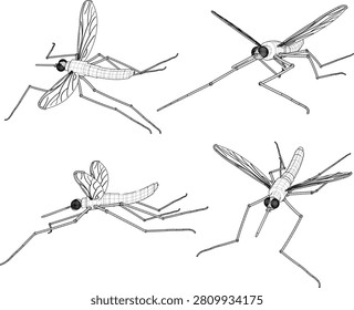 Complete set of 3D rendered mosquito character model sheets showcasing the yellow-bodied bloodsucking pest from front, side, and top angles