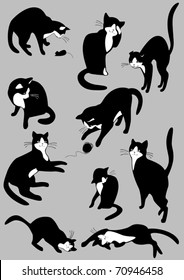 The complete set of cats 2.