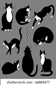 The complete set of cats of black color