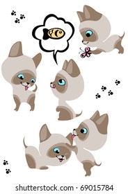 The complete set of cheerful Siamese kittens 3. Similar in a portfolio