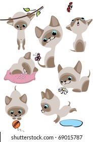 The complete set of cheerful Siamese kittens. Similar in a portfolio