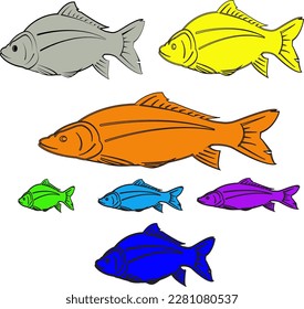 complete set of colorful fish illustration pictures