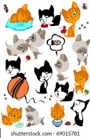 The complete set of different cheerful kittens. Similar in a portfolio