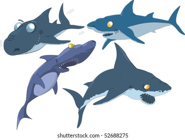 The complete set of sharks