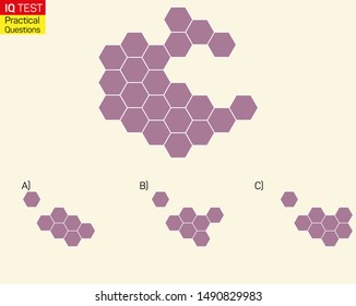 Complete the shape not given iq test - Practical Questions