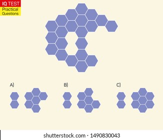 Complete the shape not given iq test - Practical Questions