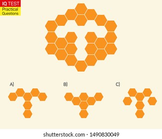 Complete the shape not given iq test - Practical Questions