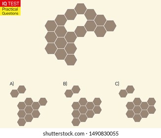 Complete the shape not given iq test - Practical Questions