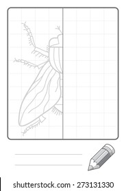 Complete the Symmetrical Drawing: Fly (single page drawing task)