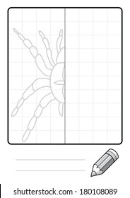 Complete the Symmetrical Drawing: Spider (one page drawing task)