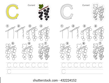 Complete vector illustrated alphabet with kid games. Learn handwriting. Easy educational kid game. Simple level of difficulty. Gaming and education. Drawing tutorial for letter C. The currant.