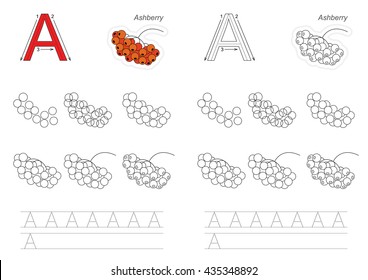 Complete vector illustrated alphabet with kid games. Learn handwriting. Easy educational kid game. Simple level of difficulty. Gaming and education. Drawing tutorial for letter A. Red ash berry.