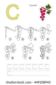 Complete vector illustrated alphabet with kid games. Learn handwriting. Easy educational kid game. Simple level of difficulty. Gaming and education. Drawing tutorial for letter C. The Red Currant.