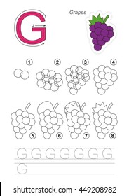 Complete vector illustrated alphabet with kid games. Learn handwriting. Easy educational kid game. Simple level of difficulty. Gaming and education. Drawing tutorial for letter G. Grapes.