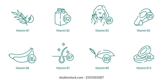 Complete Vitamin B Complex Icon Set - B1, B2, B3, B5, B6, B7, B9, and B12 for Energy and Health