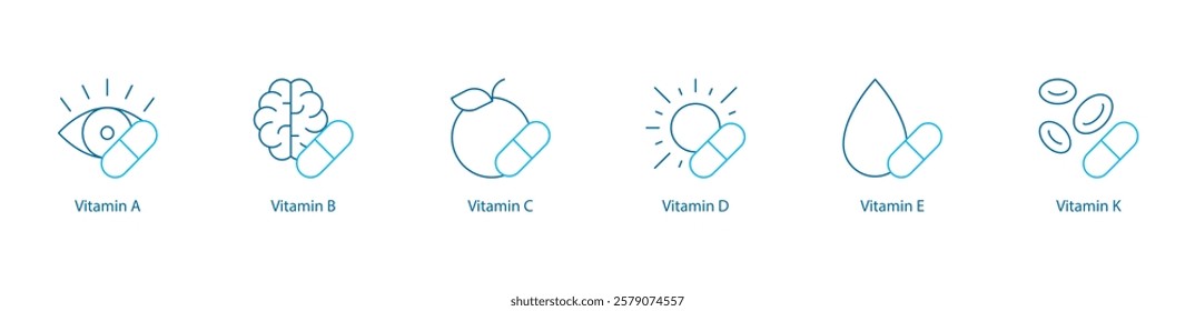 Complete Vitamin Series Vector Icon Set – Vital Nutrients A B C D E K for Health and Wellness