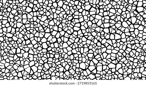 A complex black and white abstract network pattern of voronoi cells creating a modern geometric texture for backgrounds.