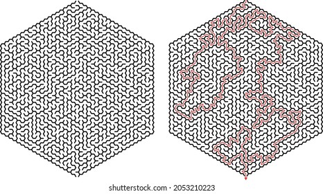 Complex, challenging hexagon maze with a solution as a puzzle and game