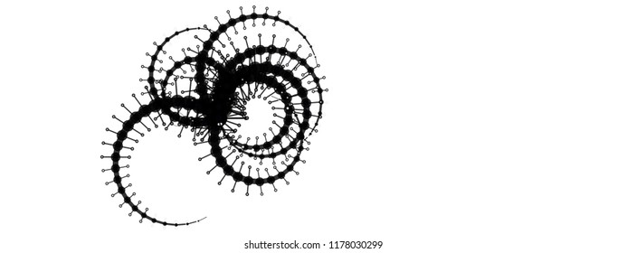 The complex geometric object consisting of circles and lines. A strange creature with gently curved tentacles on a white background. Abstract wireframe structure.