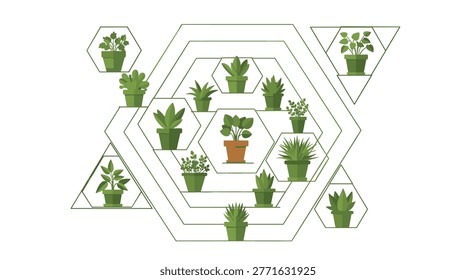 A complex geometric wall shelf composed of overlapping hexagons and triangles holds an array of small green potted plants in a symmetrical arrangement.