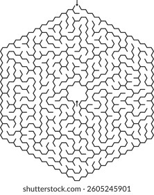 Complex Hexagonal Maze Puzzle Entrance, Exit, Paths, Challenges, Solutions