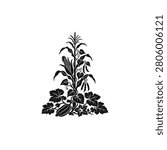 A complex planting guild illustration containing corn beans and squash
