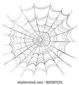 Complicated scary spider web isolated on white