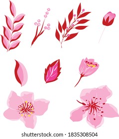 component vector cherry blossoms with nuances pink